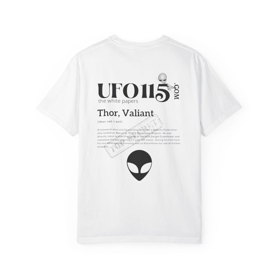The White Papers Valiant Thor Tee, back view (Printify product mockup)