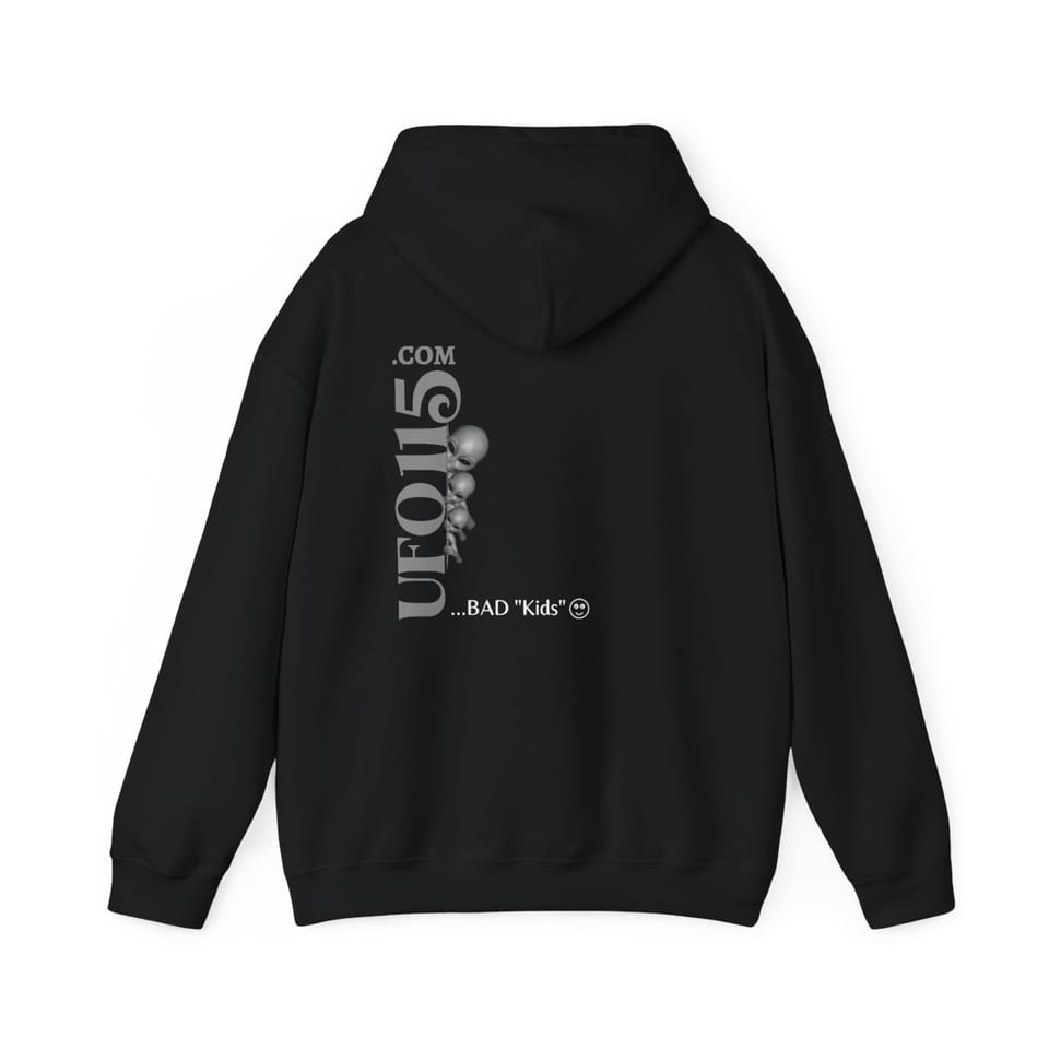 WTF Bad Kids Hoodie, back view (Printify product mockup)