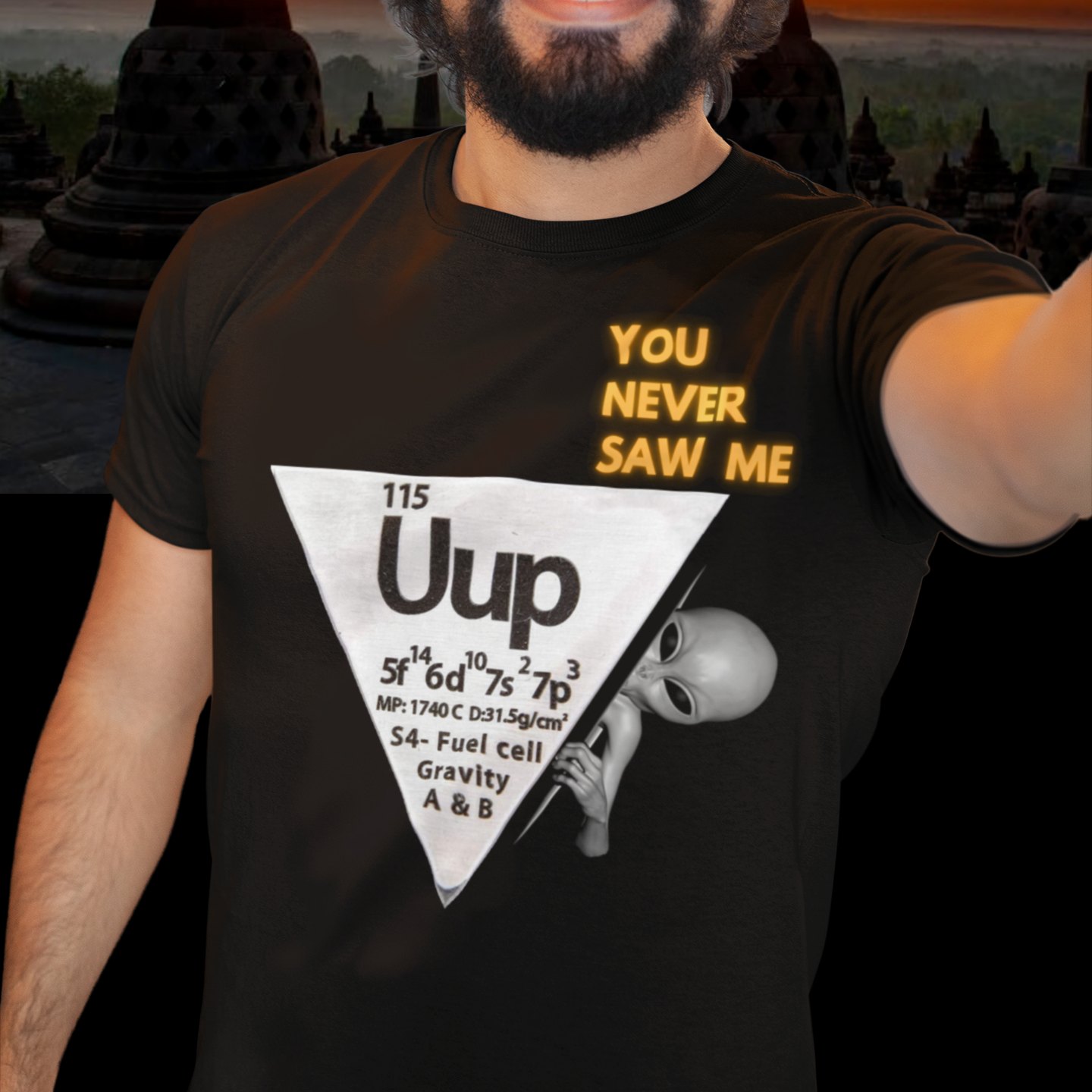 Element 115 – Uup You Never Saw Me T-shirt in Black, front print, worn by a model (temple at sunset). AI-edited photo: the real print artwork was digitally placed on a model photo.