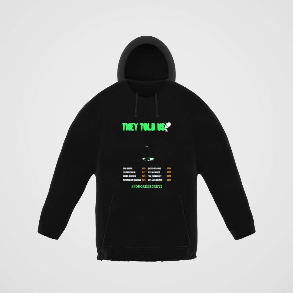 They Told Us Hoodie, 360° view at 0° (3D render of the real print)